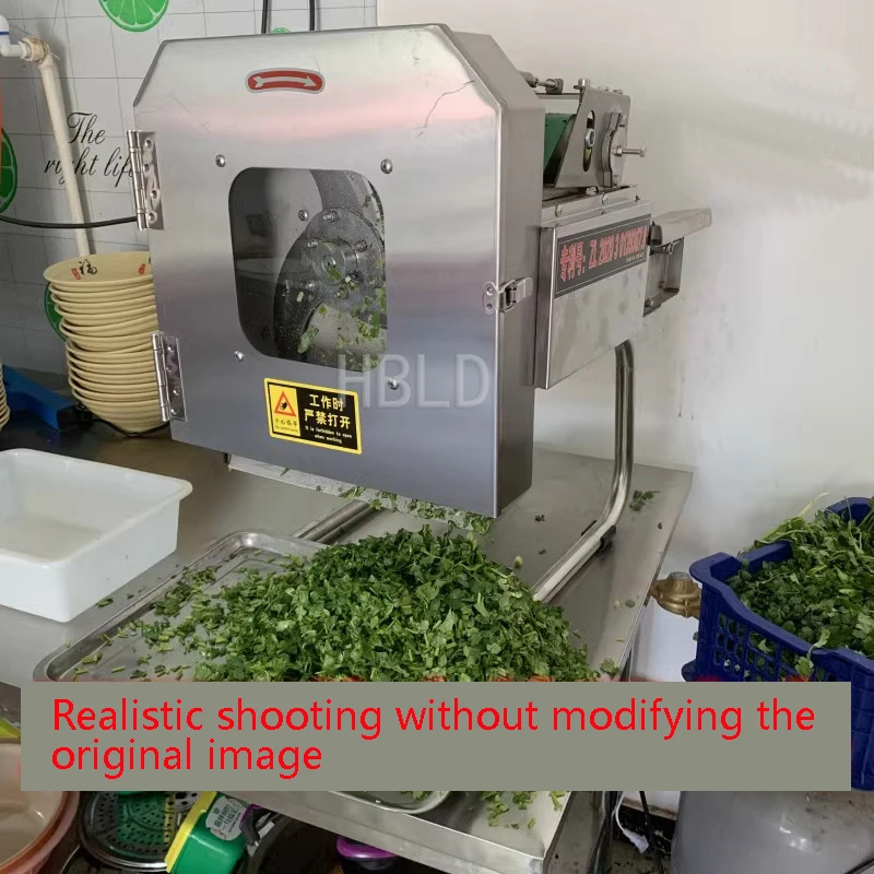 Small Electric Vegetable Cutte - đánh giá và giá Kitchen Appliances Green